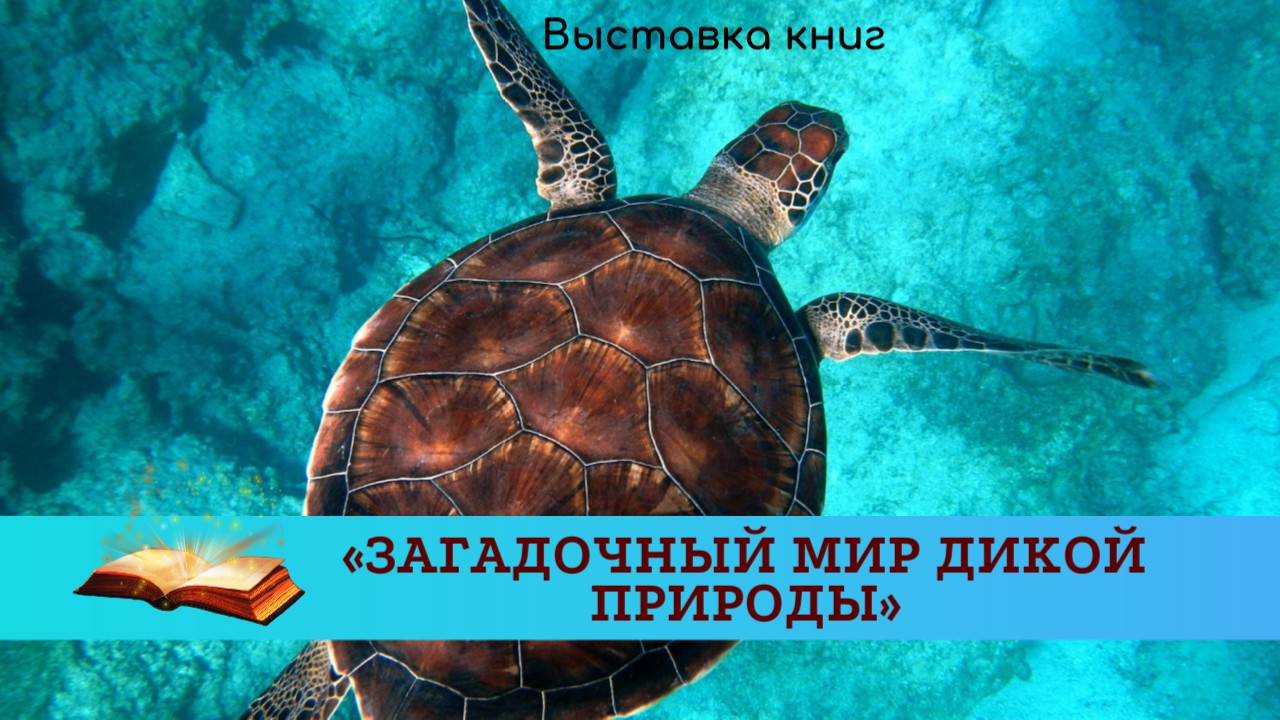 Книжная выставка «Загадочный мир дикой природы» | 01.03.2024 | Лыткарино -  БезФормата